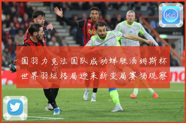 国羽力克法国队成功蝉联汤姆斯杯世界羽坛格局迎来新变局赛场观察：最新赛事动态与深度分析
