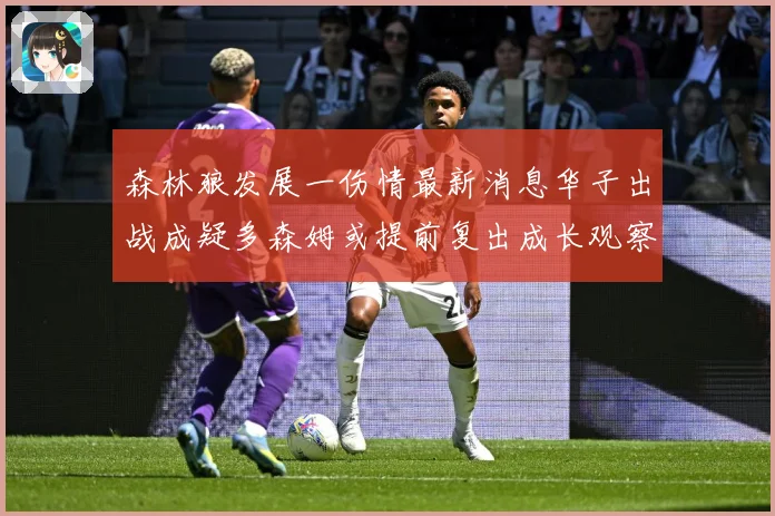 森林狼发展一伤情最新消息华子出战成疑多森姆或提前复出成长观察：最新赛事动态与深度分析